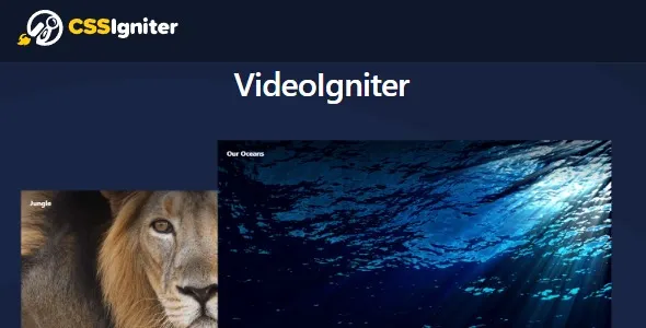 VideoIgniter Pro – CSSIgniter