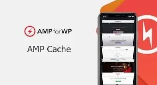 AMPforWP Cache