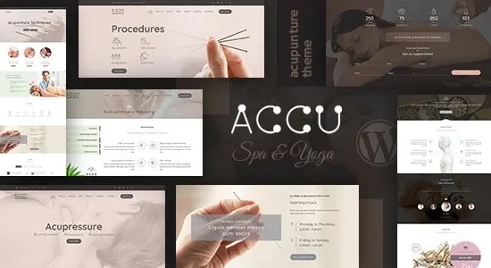 Accu – Healthcare, Massage WordPress Theme