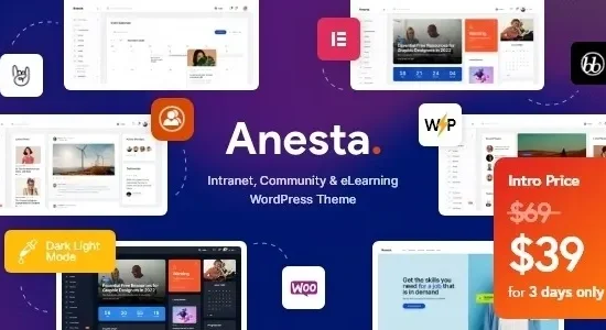 Anesta - Intranet, Extranet, Community and BuddyPress WordPress Theme