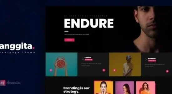 Anggita - One Page Portfolio Theme