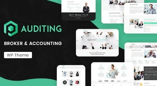 Auditing - Accounting Consultant, Finance WordPress Theme
