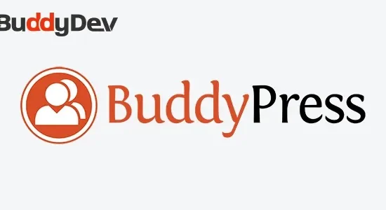 BuddyPress Auto Friendship Pro