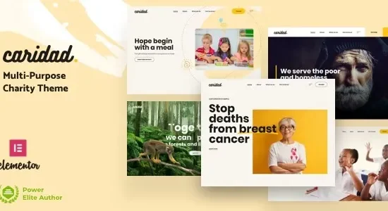 Caridad 12.5 – Charity WordPress