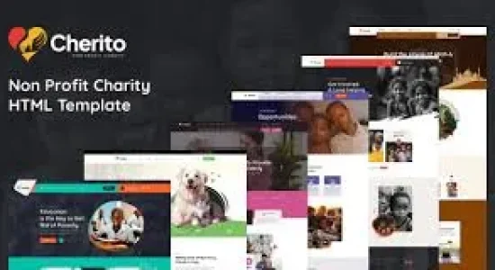 Cherito – Non Profit Charity WordPress Theme