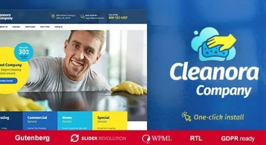 Cleanora - Cleaning Services Theme