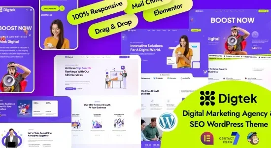 Digtek 1.0.0 – Digital Marketing Agency WordPress Theme