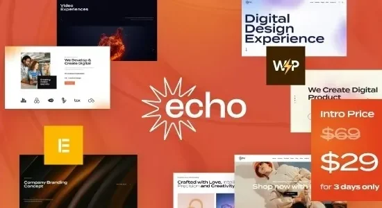 Echo - Digital Marketing & Creative Agency WordPress Theme