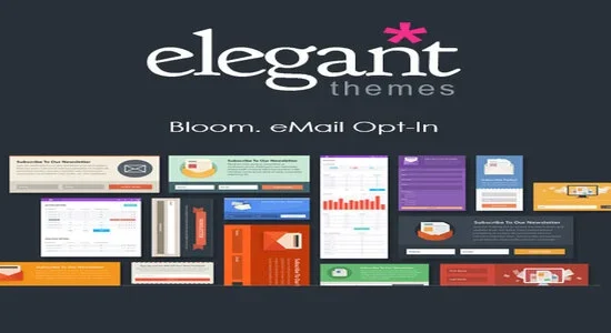 Elegant-Themes-Bloom-Email-Opt-I