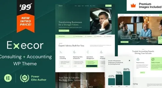 Execor- Accounting and Management Consulting WordPress Theme