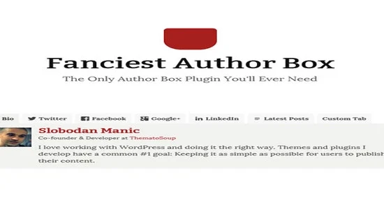 Fanciest-Author-Box
