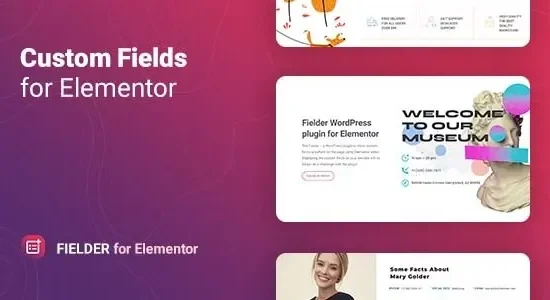 Fielder 1.1.2 – WordPress Custom Fields for Elementor