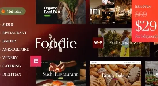 Foodie – Food & Wine Elementor Multiskin WordPress Theme