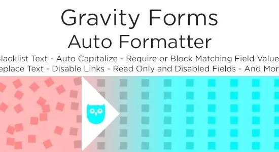 Gravity Forms Auto Formatter