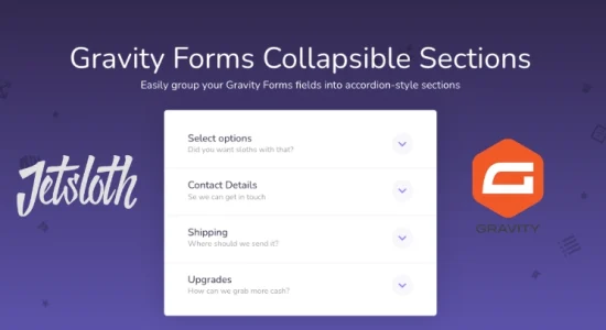 Gravity Forms Collapsible Sections – Jetsloth