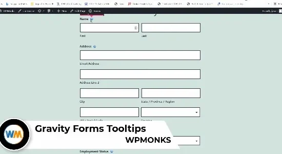 Gravity Forms Tooltips WPMonks