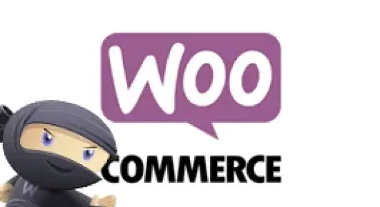 Invoice Payment Option