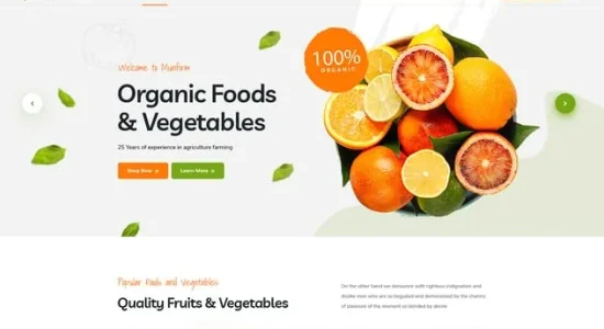 Munfirm – Organic Food Store WordPress Theme