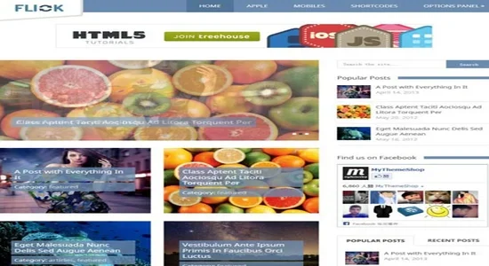 MyThemeShop-Flick-WordPress-Theme