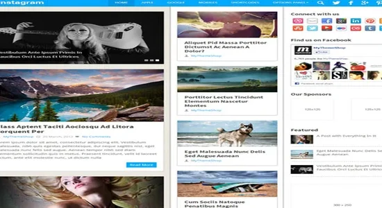 MyThemeShop-Pinstagram-WordPress-Theme