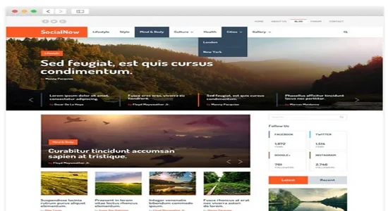 MyThemeShop-Social-Now-WordPress-Theme