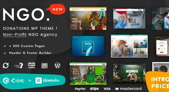Ngo – Charity & Donation WordPress Theme