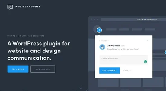 ProjectHuddle (SureFeedback) – For Designers & Developers