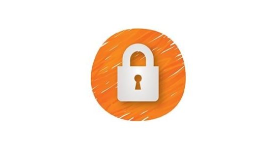 Really-Simple-SSL-Pro-preview