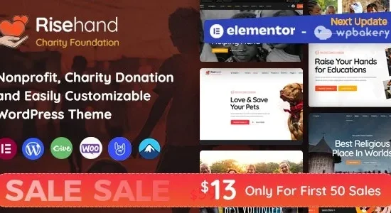 RiseHand 1.2.7 – Charity & Donation WordPress Theme