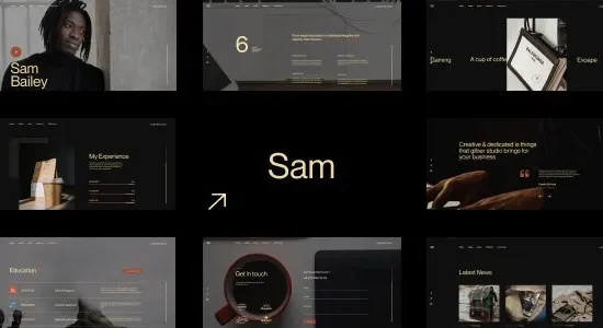 Sam Bailey – Personal CV/Resume WordPress Theme