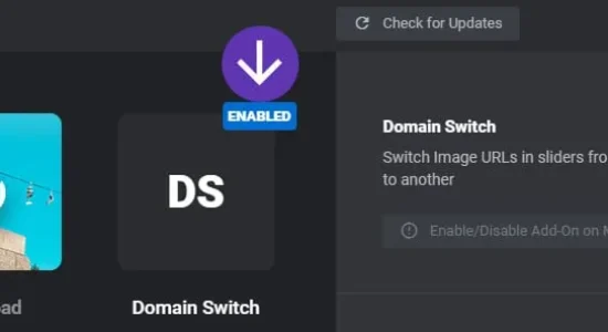 Slider Revolution Domain Switch Add-On
