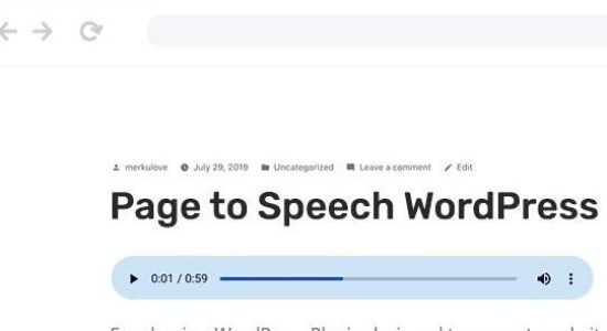 Speaker-Page-to-Speech-Plugin-for-WordPress-590×300-preview