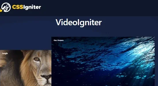 VideoIgniter Pro – CSSIgniter