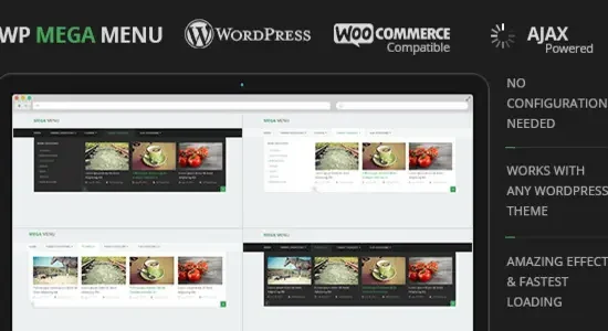WP-Mega-Menu-590×295-1