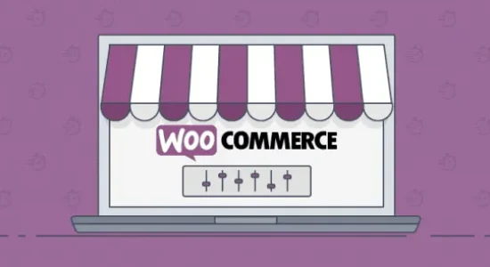 WooCommerce Catalog Visibility Options