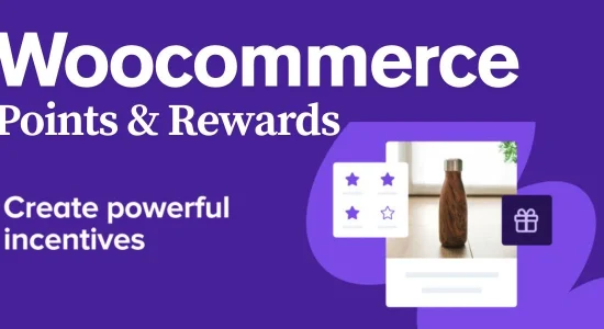 Woocommerce Points and Reward Plugin