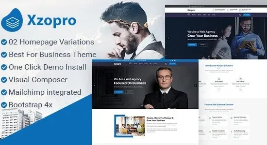 Xzopro – Finance And Business WordPress Theme