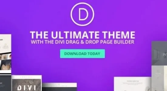 divi-preview