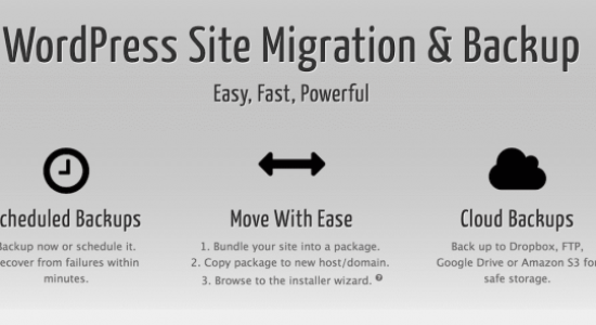 duplicator-590×300-preview