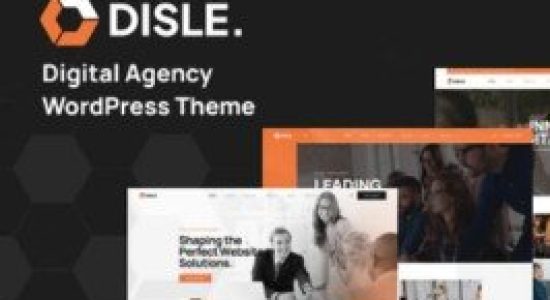 elements-disle-digital-agency-wordpress-theme
